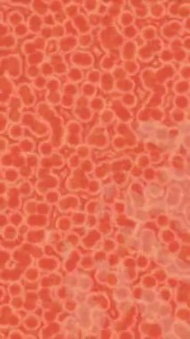 Benzersiz video giriş tasarımı projeleri için detaylı yüzey kalıbı film animasyon stili grafik girişi