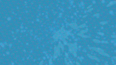 Benzersiz dijital hareket grafiklerine sahip yaratıcı sinematik projeler için yumuşak animasyon yüzeyi