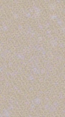 Soyut hareket desenli fütüristik video üretimi için dinamik dijital arkaplan