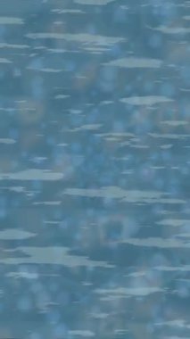 Benzersiz dijital hareket grafiklerine sahip yaratıcı sinematik projeler için yumuşak animasyon yüzeyi