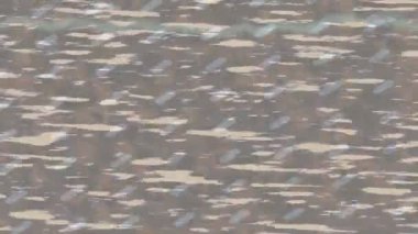 Yaratıcı video düzenleme film arkaplan tasarımı için minimalist organik hareket grafikleri