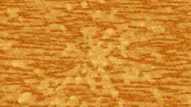 Benzersiz dijital hareket grafiklerine sahip yaratıcı sinematik projeler için yumuşak animasyon yüzeyi