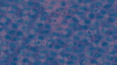 Organik desenli yüzey giriş stili video film sanatı ile soyut arkaplan tasarımı