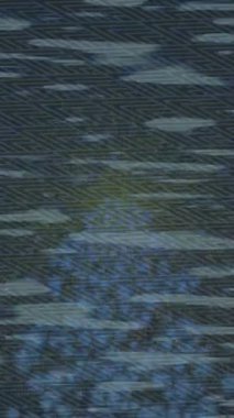 Organik desenli yüzey giriş stili video film sanatı ile soyut arkaplan tasarımı