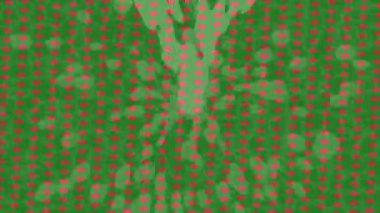 Yaratıcı video düzenleme film tasarımı için benzersiz hareket grafikleri biçimi giriş hareketi video pro