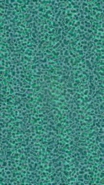 Benzersiz video giriş tasarımı projeleri için detaylı yüzey kalıbı film animasyon stili grafik girişi