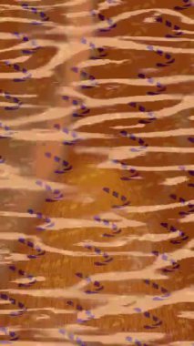 Benzersiz hareket dokusu tasarım sanatı ile profesyonel video düzenleme için modern soyut grafikler