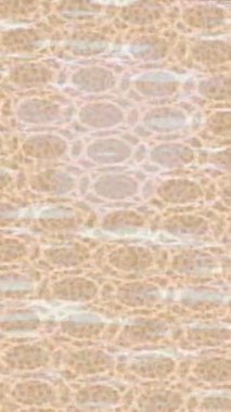 Yaratıcı video düzenleme film tasarımı için benzersiz hareket grafikleri biçimi giriş hareketi video pro