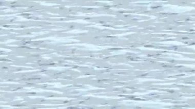 Estetik doku arkaplan tasarımı renkli hareket grafikleri ile moda film giriş profosyoneli