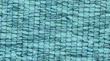 Yaratıcı video düzenleme film arkaplan tasarımı için minimalist organik hareket grafikleri