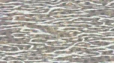 Benzersiz dijital hareket grafiklerine sahip yaratıcı sinematik projeler için yumuşak animasyon yüzeyi