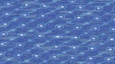 Dijital doku yüzey tasarım biçimi ile modern video animasyonu için gelişmiş hareket grafikleri