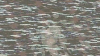 Organik desenli yüzey giriş stili video film sanatı ile soyut arkaplan tasarımı