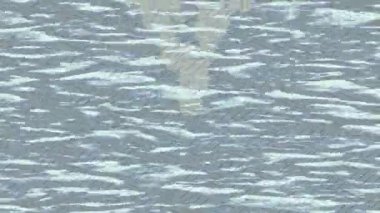 Soyut hareket desenli fütüristik video üretimi için dinamik dijital arkaplan