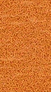 Organik desenli yüzey giriş stili video film sanatı ile soyut arkaplan tasarımı