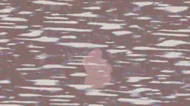 Dijital doku yüzey tasarım biçimi ile modern video animasyonu için gelişmiş hareket grafikleri