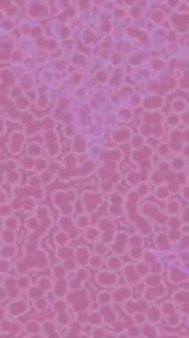 Yaratıcı video düzenleme film arkaplan tasarımı için minimalist organik hareket grafikleri