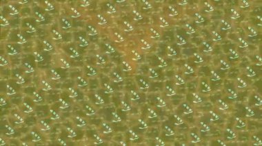 Yaratıcı video düzenleme film arkaplan tasarımı için minimalist organik hareket grafikleri