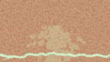 Estetik doku arkaplan tasarımı renkli hareket grafikleri ile moda film giriş profosyoneli