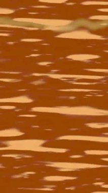 Dijital doku yüzey tasarım biçimi ile modern video animasyonu için gelişmiş hareket grafikleri