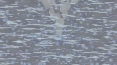 Benzersiz hareket dokusu tasarım sanatı ile profesyonel video düzenleme için modern soyut grafikler