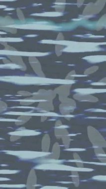 Benzersiz dijital hareket grafiklerine sahip yaratıcı sinematik projeler için yumuşak animasyon yüzeyi