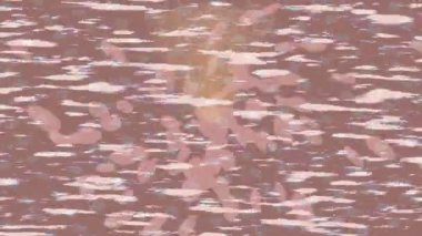 Profesyonel video projeleri sanat tarzı için organik hareketli arkaplan tasarımı