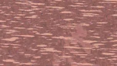 Dijital doku yüzey tasarım biçimi ile modern video animasyonu için gelişmiş hareket grafikleri