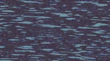 Yaratıcı video düzenleme film arkaplan tasarımı için minimalist organik hareket grafikleri