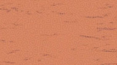 Organik desenli yüzey giriş stili video film sanatı ile soyut arkaplan tasarımı