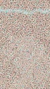 Benzersiz dijital hareket grafiklerine sahip yaratıcı sinematik projeler için yumuşak animasyon yüzeyi