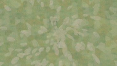 Lüks hareket tasarımı üst düzey video projeleri ve dijital sanat için zarif, pürüzsüz bir dokusu var.