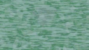 Benzersiz dijital hareket grafiklerine sahip yaratıcı sinematik projeler için yumuşak animasyon yüzeyi