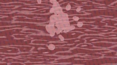 Benzersiz dijital hareket grafiklerine sahip yaratıcı sinematik projeler için yumuşak animasyon yüzeyi