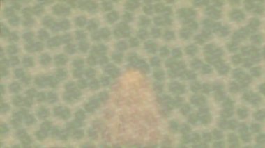 Organik desenli yüzey giriş stili video film sanatı ile soyut arkaplan tasarımı