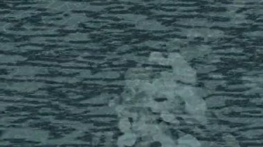 Profesyonel video projeleri sanat tarzı için organik hareketli arkaplan tasarımı