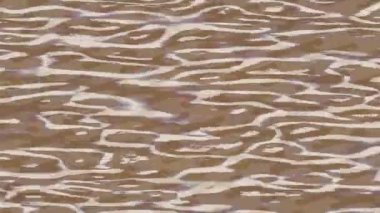 Yaratıcı video düzenleme film arkaplan tasarımı için minimalist organik hareket grafikleri