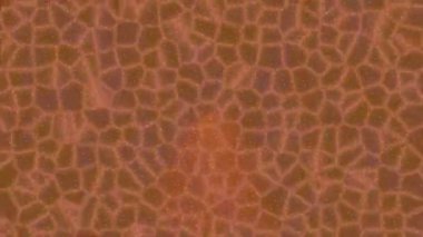 Benzersiz dijital hareket grafiklerine sahip yaratıcı sinematik projeler için yumuşak animasyon yüzeyi