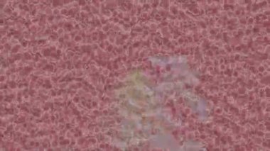 Profesyonel video projeleri sanat tarzı için organik hareketli arkaplan tasarımı