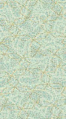 Yaratıcı video düzenleme film tasarımı için benzersiz hareket grafikleri biçimi giriş hareketi video pro