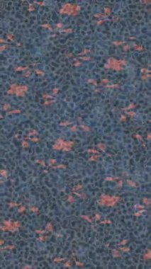 Estetik doku arkaplan tasarımı renkli hareket grafikleri ile moda film giriş profosyoneli