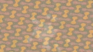 Yaratıcı video düzenleme film tasarımı için benzersiz hareket grafikleri biçimi giriş hareketi video pro