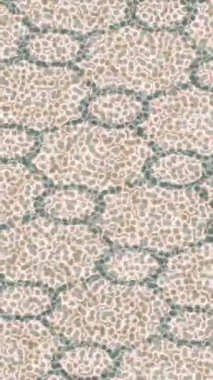 Dijital doku yüzey tasarım biçimi ile modern video animasyonu için gelişmiş hareket grafikleri