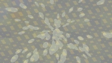 Dijital doku yüzey tasarım biçimi ile modern video animasyonu için gelişmiş hareket grafikleri