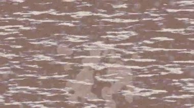 Benzersiz dijital hareket grafiklerine sahip yaratıcı sinematik projeler için yumuşak animasyon yüzeyi