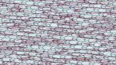 Benzersiz dijital hareket grafiklerine sahip yaratıcı sinematik projeler için yumuşak animasyon yüzeyi