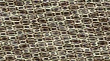 Soyut hareket desenli fütüristik video üretimi için dinamik dijital arkaplan