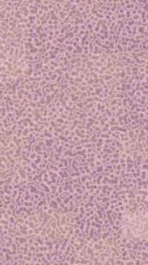 Dijital doku yüzey tasarım biçimi ile modern video animasyonu için gelişmiş hareket grafikleri