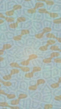 Benzersiz dijital hareket grafiklerine sahip yaratıcı sinematik projeler için yumuşak animasyon yüzeyi