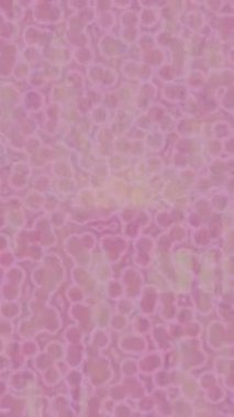 Modern medya üretimi için fütüristik dijital soyut doku sinematik tarz hareketli grafik ögesi